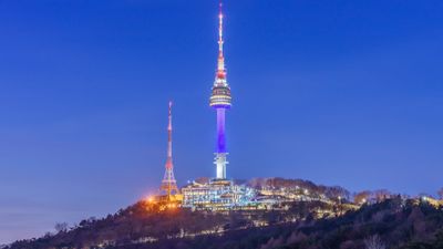 TOUR HÀN QUỐC – SEOUL – NAMI ISLAND EVERLAND – HÁI TRÁI CÂY - Image - 9126